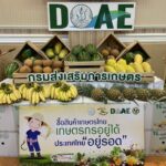 กระทรวงกลาโหม จับมือ กระทรวงเกษตร ช่วยเกษตรกร รับซื้อ-กระจายสินค้า 42 พื้นที่ 26 จว.