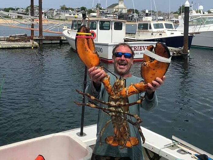 Hombre estadounidense revela minutos en la boca de una ballena que por suerte escupió