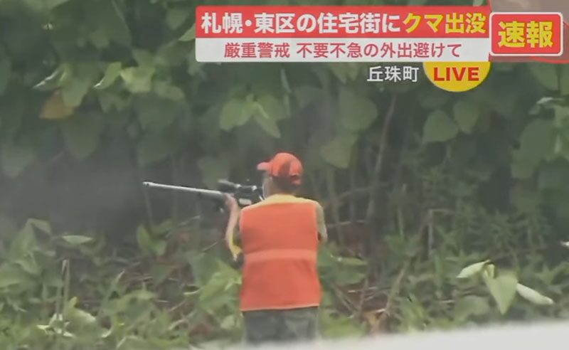 ระทึกหมีหลงเมือง!