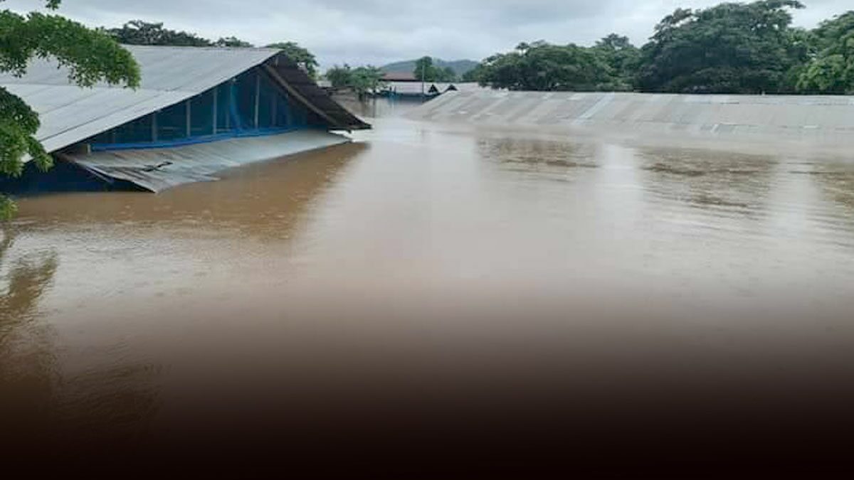 แม่สอดวิกฤต! ฝนถล่มซ้ำ-ล้นแม่น้ำเมย จมบ้านเรือนสูง 3 เมตร จนท.ช่วยลุงป่วยติดเตียง