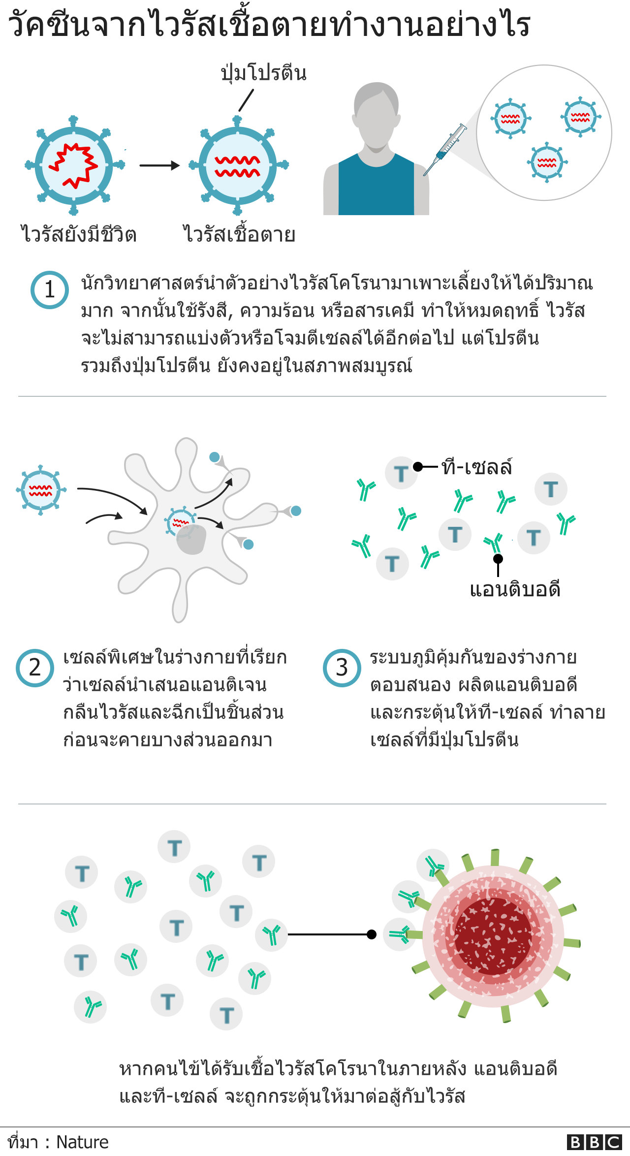 กราฟิก