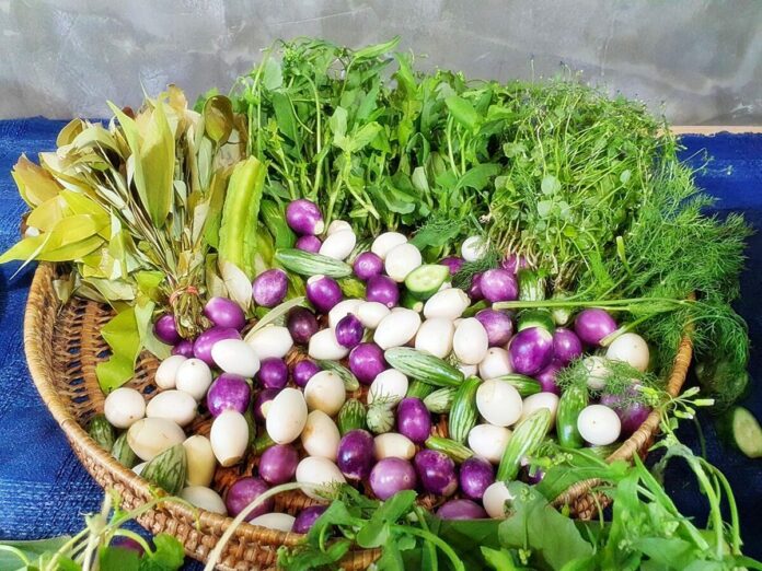 สสส.ผลักดัน‘ผัก’อยู่ในแผนชาติ