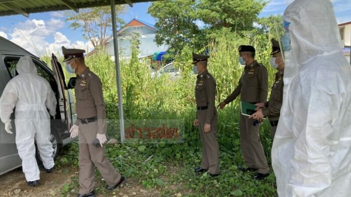 ขนต่างด้าว