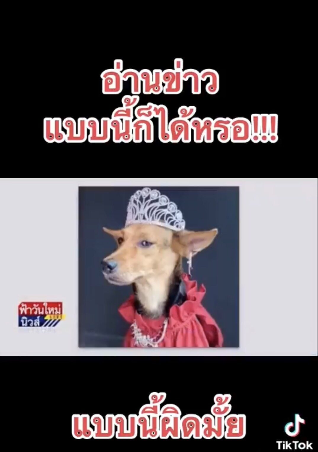 น ำตาล ฟาดกล บ พ ธ กรสล มบ ด ไร จรรยาบรรณส อ หล งข นร ปหมาด านางงามไร สมอง