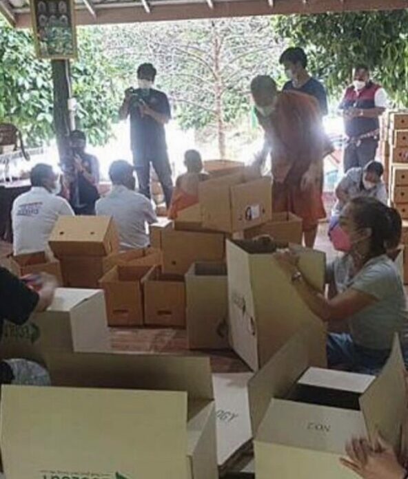 แอน ทองประสม ช่วยเหลือชาวสวนมังคุด