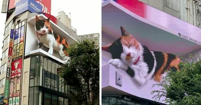 แมวยักษ์3มิติ