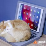 Taobao Maker Festival 2021 เปิดพื้นที่โชว์นวัตกรรมเด่น จากไอเดียคนรุ่นใหม่