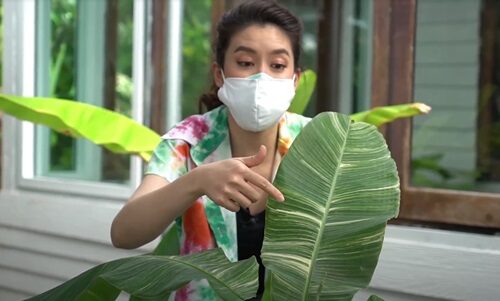 จ๊ะจ๋า พริมรตา