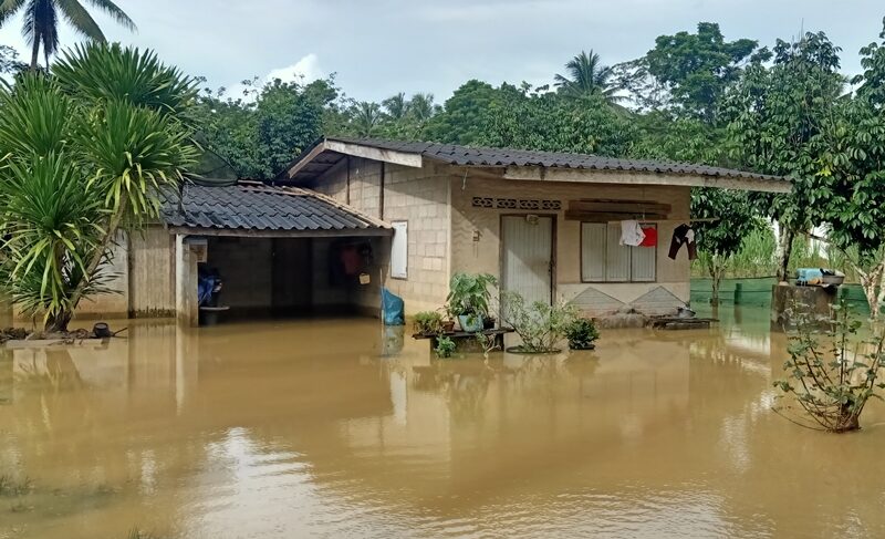 ฝนถล่ม ตรัง มวลน้ำป่าจากเทือกเขาบรรทัด ทะลักท่วม 3 หมู่บ้าน 160 ครัวเรือนอ่วม สัตว์เลี้ยงถูกน้ำพัดตายเพียบ