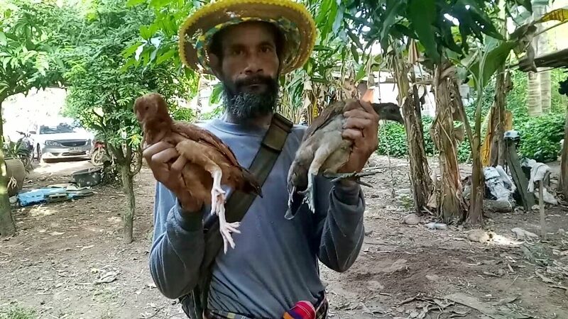 ไก่ประหลาด มี 10 นิ้ว 2 ตัว แมลงมุม 6 ขา จิ้งจก 2 หางอีก 2 ตัว