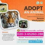 องค์การสวนสัตว์ ชวนอุปถัมภ์สัตว์ป่า โครงการ “ปันสุข... เพื่อเพื่อนๆ สัตว์ป่า”