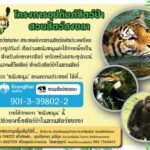 องค์การสวนสัตว์ ชวนอุปถัมภ์สัตว์ป่า โครงการ “ปันสุข... เพื่อเพื่อนๆ สัตว์ป่า”