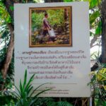 กองทัพเรือ จัดกิจกรรมเกี่ยวข้าวแปลงนาสาธิต ตามหลักเศรษฐกิจพอเพียง