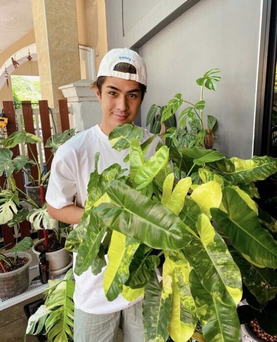 ธาราเขต ขายไม้ด่าง