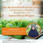 สสส. ปลุกพลังชาวใต้ เนรมิต “ปอเนาะ” สู่ “พื้นที่สีเขียวกินได้” แหล่งผลิตอาหารชุมชน ช่วยคนตกงาน-กลุ่มเปราะบาง สู้วิกฤตโควิด-19