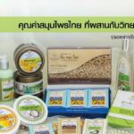 สบู่พันทองไพร สบู่สมุนไพรสูตรอนามัยสำหรับผิวหน้า
