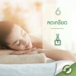 ใบไผ่สเปรย์ตะไคร้หอมกันยุงเป็นผลิตภัณฑ์ธรรมชาติทำจากน้ำมันหอมระเหย