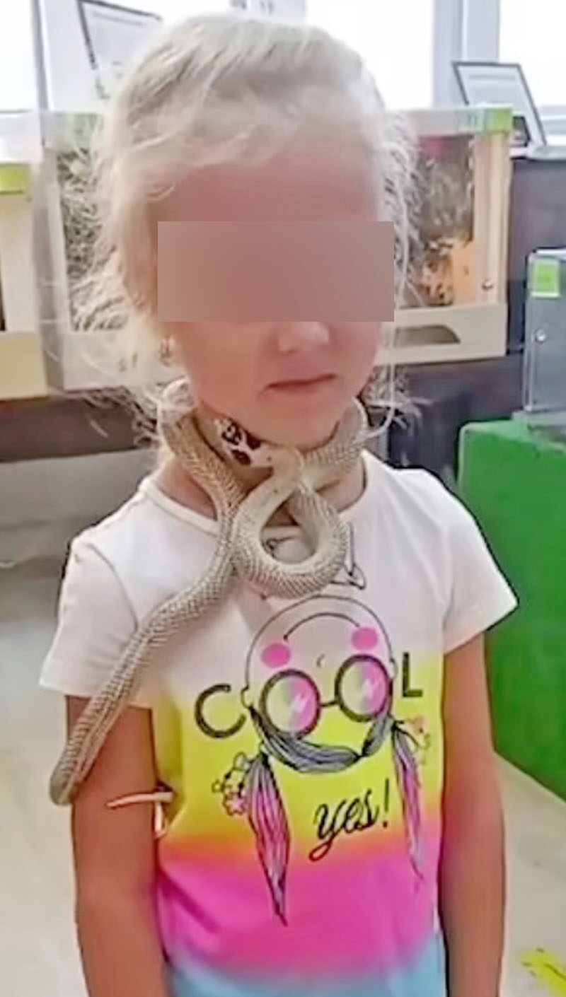 ขณะโพสท่าถ่ายรูป โชคดีไร้พิษ-รอดหวุดหวิด
