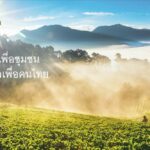 27 ปี "ดอยคำ" ส่งต่อพลังความรัก ความห่วงใย แทนคำขอบคุณจากใจ ฅนดอยคำ
