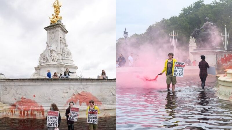 ภาพผู้ประท้วงอังกฤษ