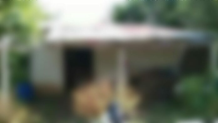 ล่าหื่นชรา