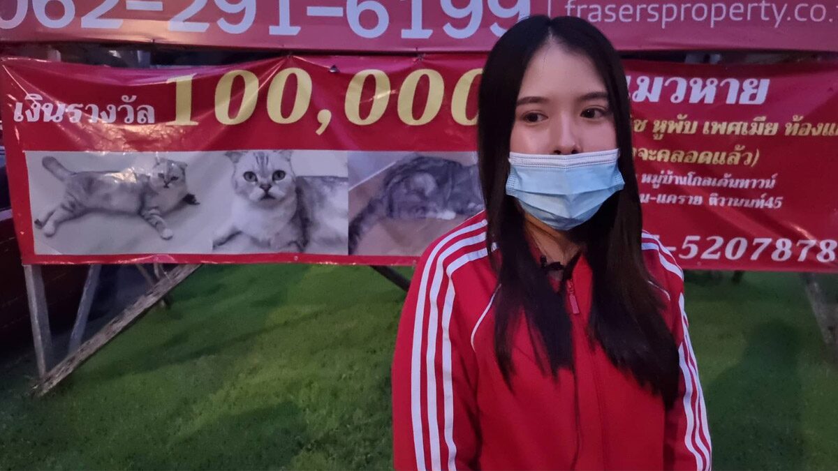 สาวไม่ท้อ ประกาศตามหาแมว เจอจ่าย 1 แสน แม้ผ่านไป 2 เดือนยังไร้วี่แวว