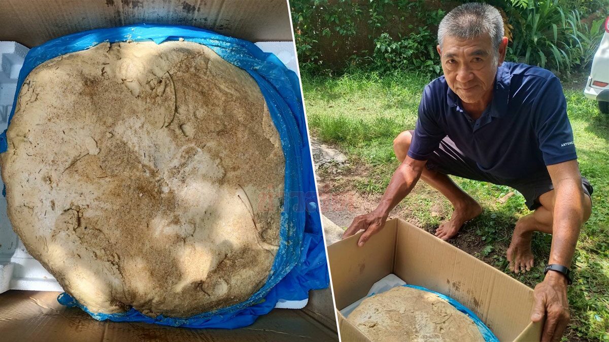 ยิ่งกว่าถูกหวย! ลุงสุดปลื้ม บังเอิญเจออำพันทะเลก้อนเบิ้ม หนัก 20 กก. มูลค่าเกือบ 30 ล้าน