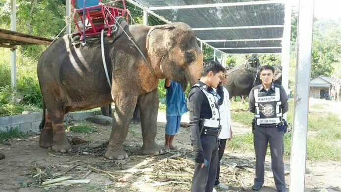 ลักช้าง