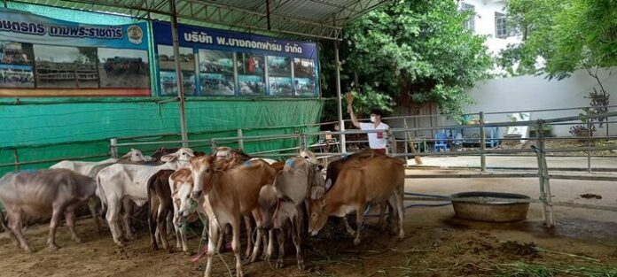 บี้ สุกฤษฎิ์ ร่วมกับแฟนคลับ
