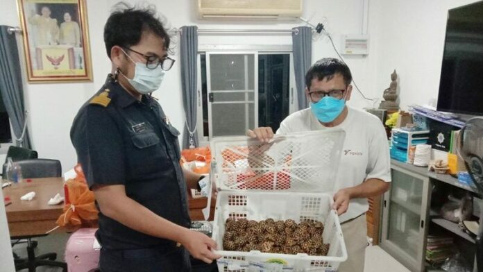 หนุ่มขนเต่าดาวสัตว์หวงห้าม