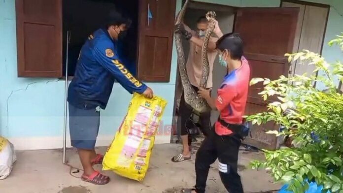 เขมือบโต้ง