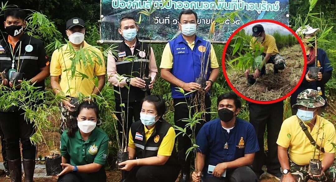 อุทยานเขาใหญ่ จัดกิจกรรม ปลูกรั้วไผ่หนาม แก้ไขปัญหา ช้าง-กระทิง ออกนอกป่า ทำลายผลผลิตชาวบ้าน