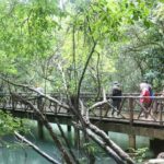 สตูล จัดทริป ตันหยงโป-สันหลังมังกร-อ่าวตะโละวาว เตรียมเปิดท่องเที่ยวทะเล 15 ต.ค.นี้