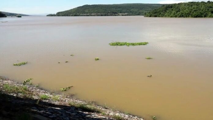 น้ำมาก