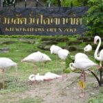 สวนสัตว์เปิดเขาเขียว ชวนชมสัตว์นานาชนิด จัดโปรพิเศษ ฉีดวัคซีนโควิด ลดทักที 50% ถึง 30 กันยายน นี้