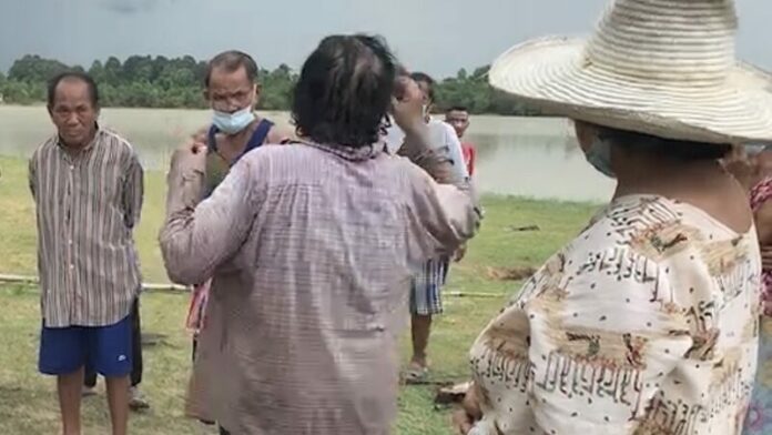 สลดคุณตาไล่ควาย