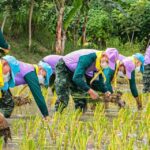 กองทัพบกตั้ง 111 ศูนย์เกษตรทฤษฎีใหม่ครบวงจร แหล่งเรียนรู้ประชาชน
