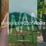  “แสนสิริ” เตรียมเรียกคืนรอยยิ้มแก่คนไทย กับแคมเปญฟีลกู๊ด “Live Love Joy” 