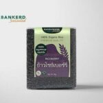 กสิกรไทย ช่วยลดค่าครองชีพคนไทยผ่านโครงการ “ร่วมด้วย ช่วยเปย์” บน K+ market หั่นราคาของกินของใช้เหลือ 20 บาทเท่านั้น!