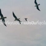  “แสนสิริ” เตรียมเรียกคืนรอยยิ้มแก่คนไทย กับแคมเปญฟีลกู๊ด “Live Love Joy” 