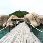 ททท. เผยการท่องเที่ยวในอนาคตหลังสถานการณ์การระบาดโควิด-19 ต้องคำนึงถึงความปลอดภัยด้านสาธารณสุขและวิถีใหม่ (New Normal) เลือกเดินทางท่องเที่ยวในระยะทางใกล้ๆ