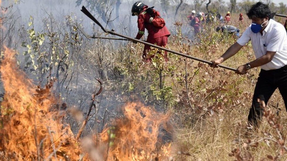 People fighting a wildfire