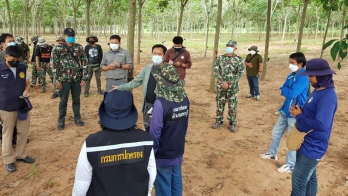 ป่าทับลาน