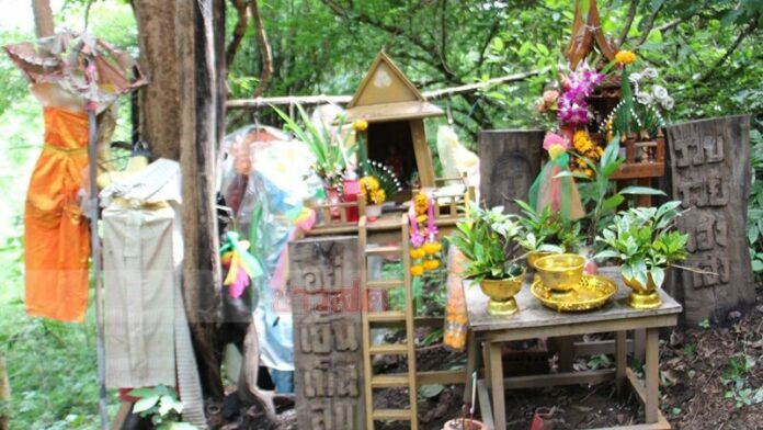 ขอเลขเด็ดแม่ตะเคียน