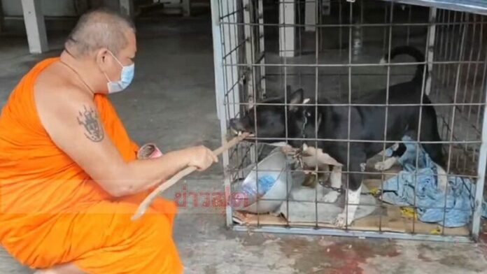 ทิ้งวัด