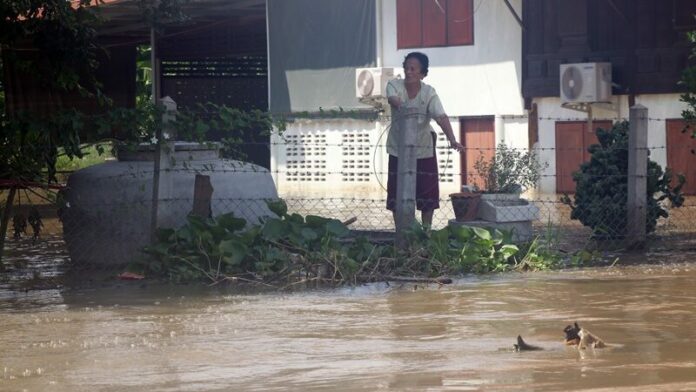 บางปลาม้า