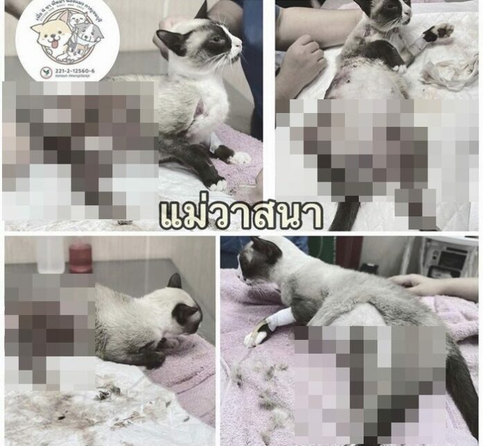 อ้น สราวุธ