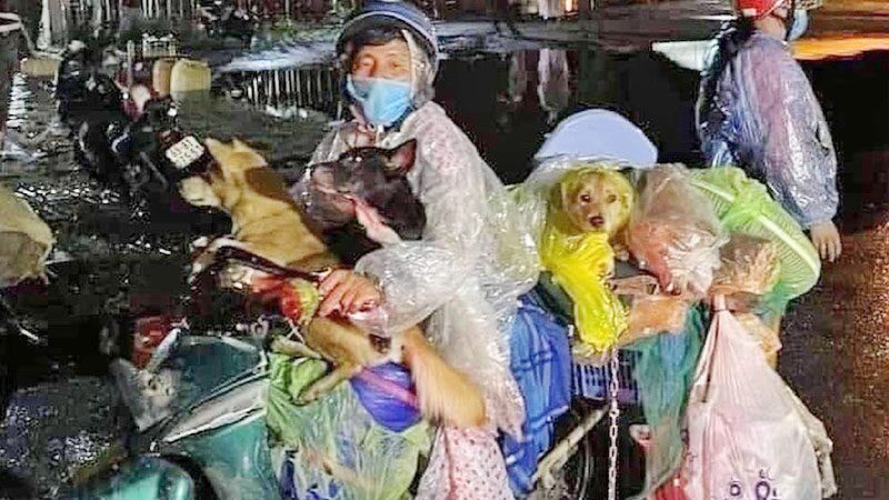 เวียดนามจวกยับทางการ