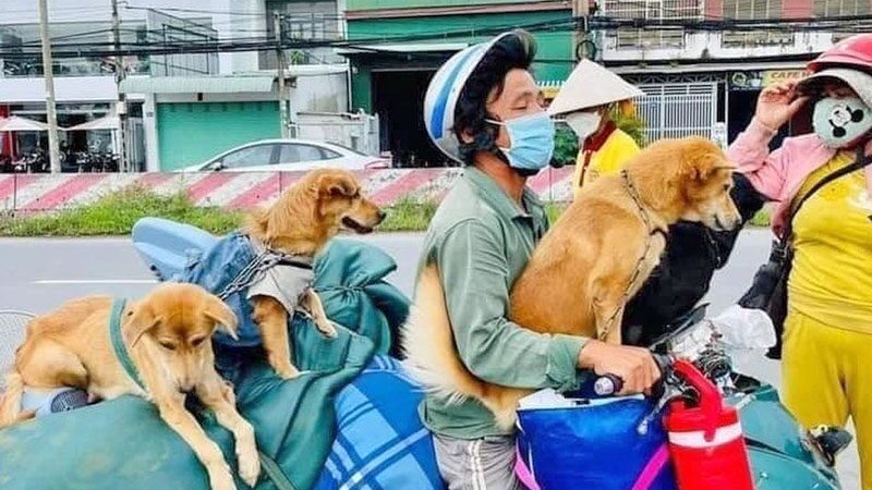 เวียดนามจวกยับทางการ