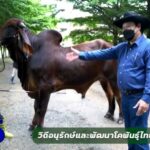 รายการเกษตรช่อง 5 พัฒนาชุมชน วันอาทิตย์ที่ 3 ต.ค. 64 ชวนรับชมรายการชุด บุพราหมณ์ ทับลาน สวรรค์ล้านสุข